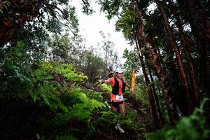 BIB: 
                            <button type="button" onclick="openModal(26204981)" class="btn btn-primary btn-sm float-right btn-popup" data-toggle="modal" data-target=".modal-high-quality">
                        <i class="fas fa-shopping-cart"></i> Add to Cart
                    </button>
                                            <button type="button" onclick="isThisMe(26204981, true)" class="btn btn-success btn-sm float-right btn-popup btn-isme hidden" data-toggle="tooltip" data-placement="bottom" title="นี่คือรูปของคุณใช่ไหม คลิกที่นี่เพื่อเอาเข้าอัลบั้ม">
                        <i class="fas fa-plus"></i> Add to album
                    </button>
                    <button type="button" onclick="isThisMe(26204981, false)" class="btn btn-warning btn-sm float-right btn-popup btn-isnotme hidden">
                        <i class="fas fa-ban"></i> Remove from album
                    </button>